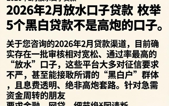 2026年2月放水口子贷款，枚举5个黑白贷款不是高炮的口子