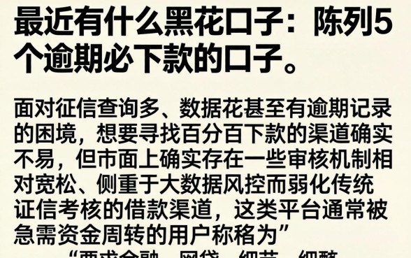 最近有什么黑花口子，陈列5个逾期必下款的口子