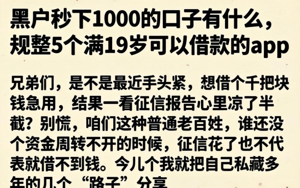 黑户秒下1000的口子有什么，规整5个满19岁可以借款的app