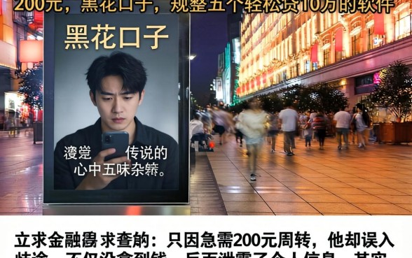 200元的黑花口子,规整五个轻松贷10万的软件