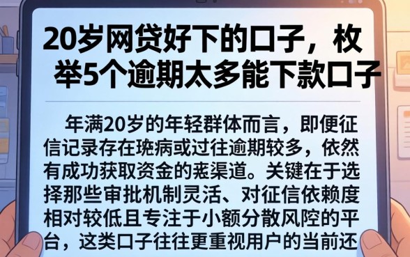 20岁网贷好下的口子，枚举5个逾期太多能下款口子