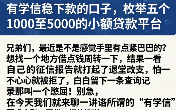 有学信稳下款的口子，枚举五个1000至5000的小额贷款平台