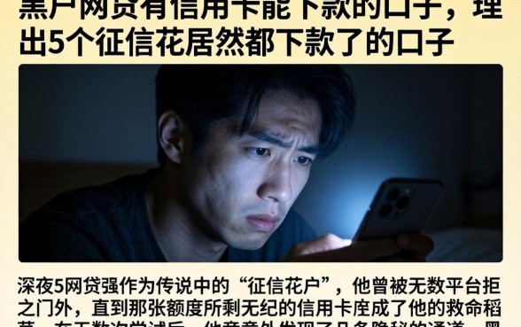 黑户网贷有信用卡能下款的口子，理出5个征信花居然都下款了的口子