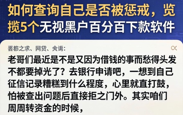 如何查询自己是否被惩戒，概览5个无视黑户百分百下款软件