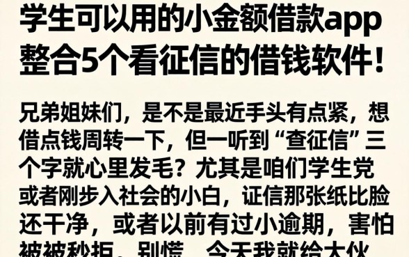 学生可以用的小额借款app，整合5个不看征信的借钱软件