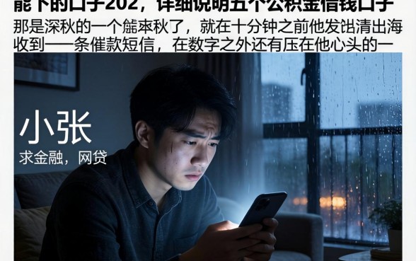 能下的口子202，详尽说明五个公积金借钱口子