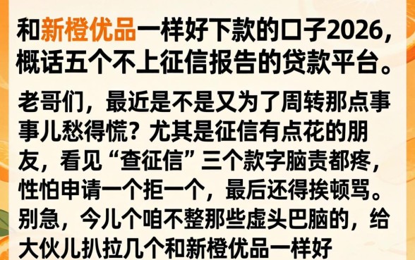 和新橙优品一样好下款的口子2026，概括五个不上征信报告的贷款平台