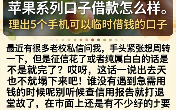 苹果系列口子借款怎么样，理出5个手机可以临时借钱的口子