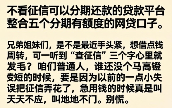 不看征信可以分期还款的贷款平台，整合五个分期有额度的网贷口子