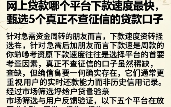 网上贷款哪个平台下款速度最快，甄选5个真正不查征信的贷款口子