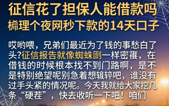 征信花了担保人能借款吗，梳理五个夜间秒下款的14天口子