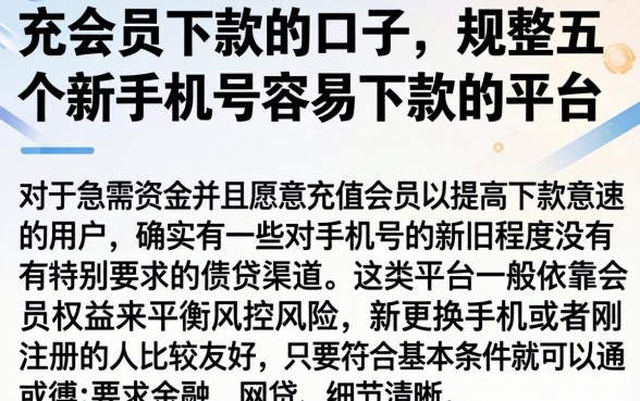 充会员下款的口子，规整五个新手机号容易下款的平台
