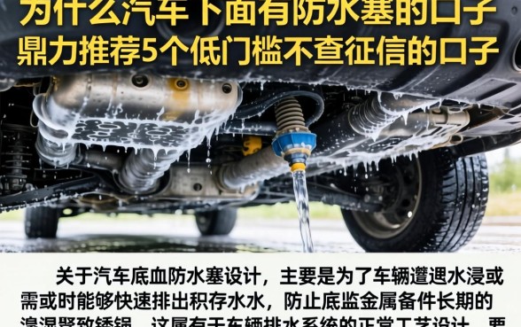 为什么汽车下面有防水塞的口子,鼎力推荐5个低门槛不查征信的口子