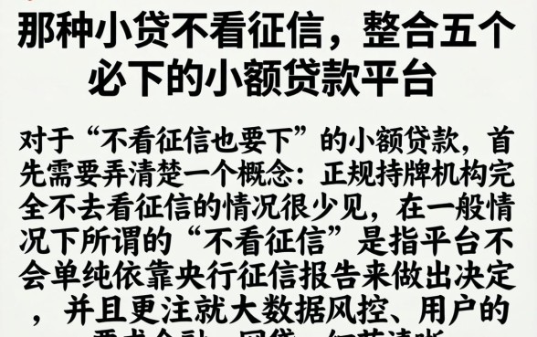 那种小贷不看征信，整合五个必下的小额贷款平台