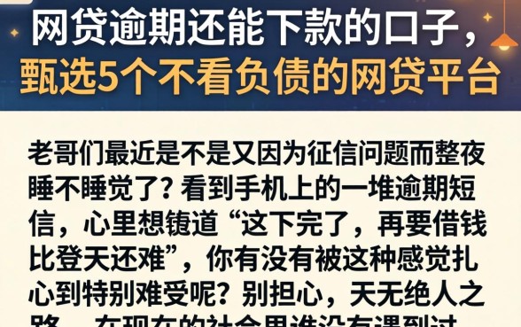 网贷逾期还能下款的口子，甄选5个不看负债的网贷平台