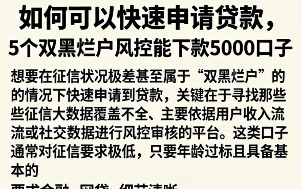 如何可以快速申请贷款，详尽说明5个双黑烂户风控能下款5000口子