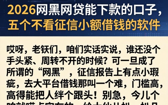 2026网黑网贷能下款的口子，概括五个不看征信小额借钱的软件