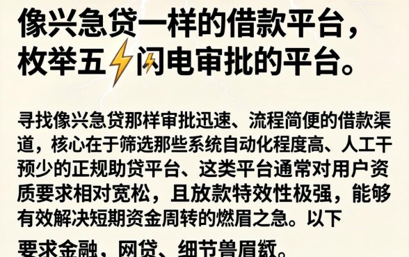 像兴急贷一样的借款平台，枚举五个闪电审批的平台