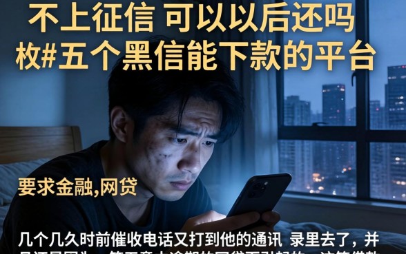 不上征信的可以以后还吗，枚举五个黑户能下款的平台