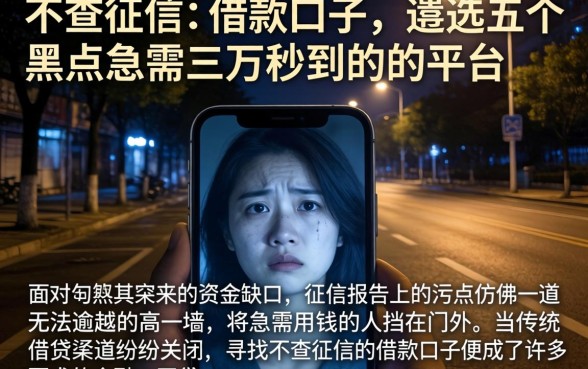 不查征信的借款口子，遴选五个黑户急需三万秒到的的平台