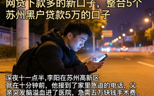 网贷下款多的新口子,整合5个苏州黑户贷款5万的口子