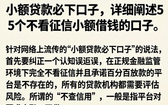 小额贷款必下口子，详细阐述5个不看征信小额借钱的口子