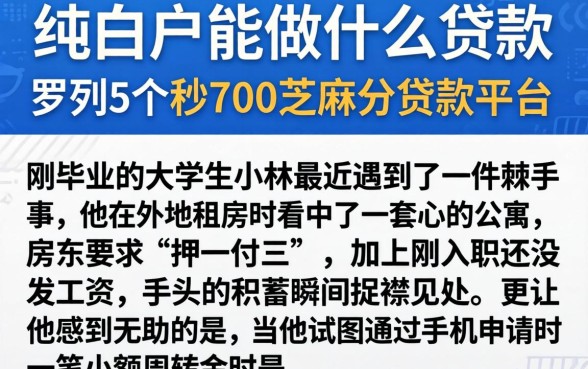 纯白户能做什么贷款，罗列5个秒下700芝麻分贷款平台