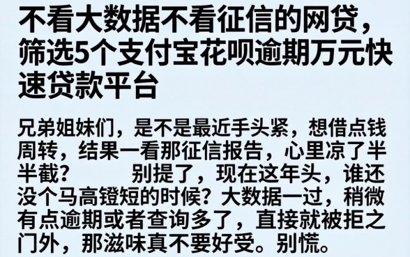不看大数据不看征信的网贷，筛选5个支付宝花呗逾期万元快速贷款平台