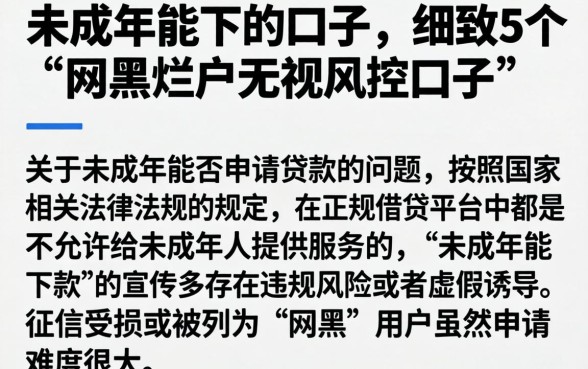 未成年能下的口子，细致阐述5个网黑烂户无视风控口子