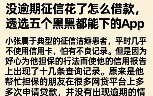 没逾期征信花了怎么借款，遴选五个黑户都能下的app