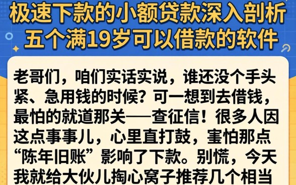 极速下款的小额贷款，深入剖析五个满19岁可以借款的软件
