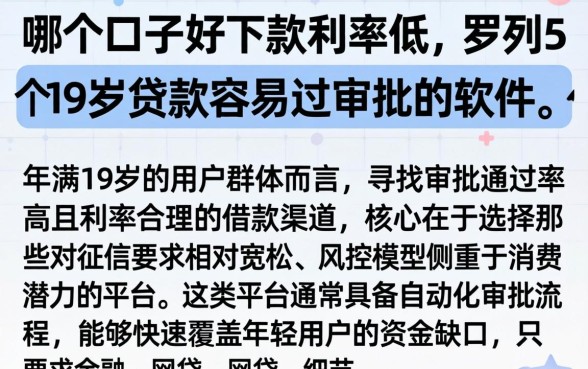 哪个口子好下款利率低，罗列5个19岁贷款容易过审批的软件