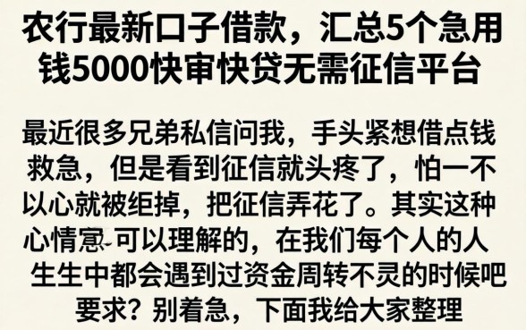 农行最新口子借款，汇总5个急用钱5000快审快贷无需征信平台