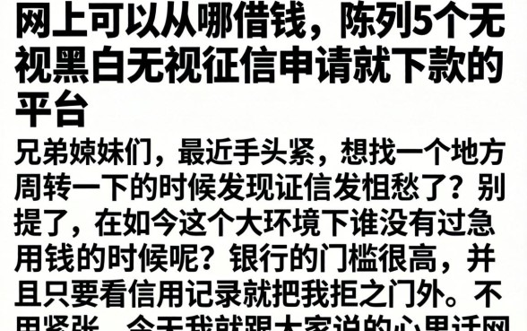 网上可以从哪借钱，陈列5个无视黑白无视征信申请就下款的平台