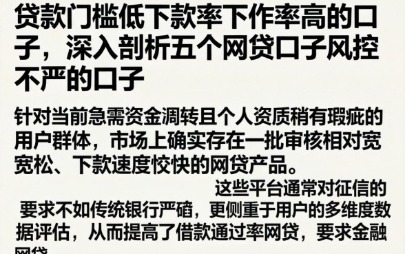 贷款门槛低下款率下款率高的口子，深入剖析五个网贷口子风控不严的口子