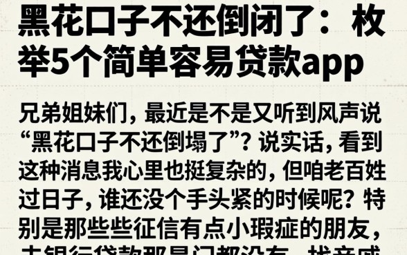 黑花口子不还倒闭了,枚举5个简单容易贷款app