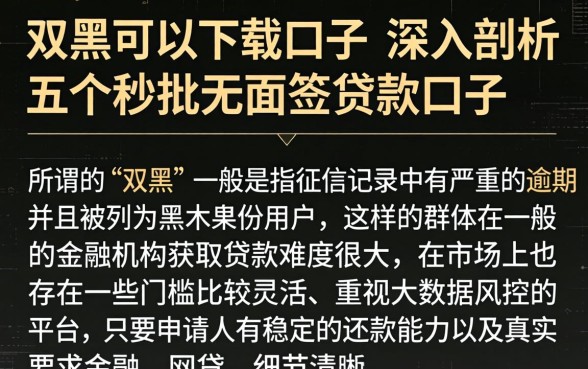 双黑可以下载的口子，深入剖析五个秒批无面签贷款口子