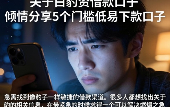 关于豹的借款口子，倾情分享5个门槛低易下款口子