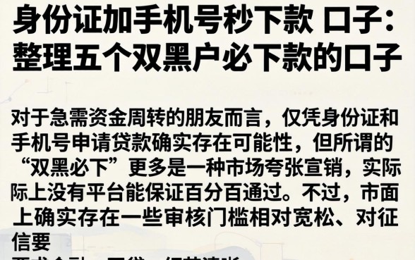 身份证加手机号秒下款的口子，整理五个双黑户必下款的口子