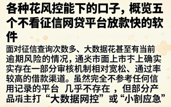 各种花风控能下的口子，概览五个不看征信网贷平台放款快的软件