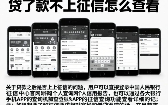 贷了款不上征信怎么查看，陈列五个无视黑白的网贷软件