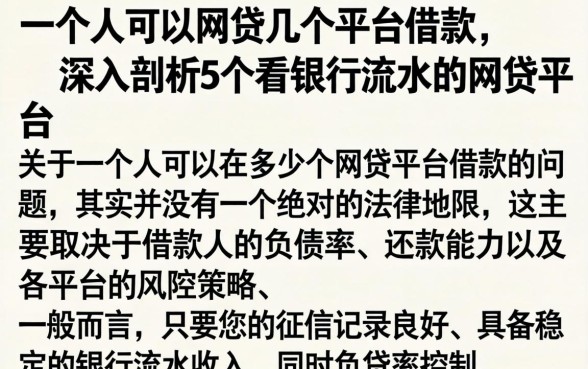 一个人可以网贷几个平台借款，深入剖析5个看银行流水的网贷平台