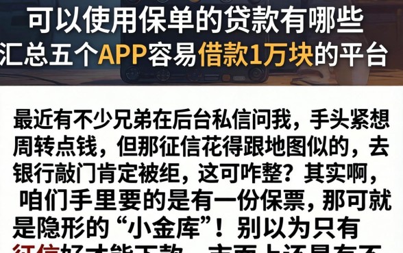 可以使用保单的贷款有哪些，汇总五个APP容易借款1万块的平台