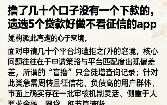 撸了几十个口子没有一个下款的，遴选5个贷款好做不看征信的app