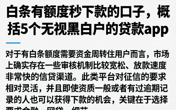 白条有额度秒下款的口子，概括5个无视黑白户的贷款app