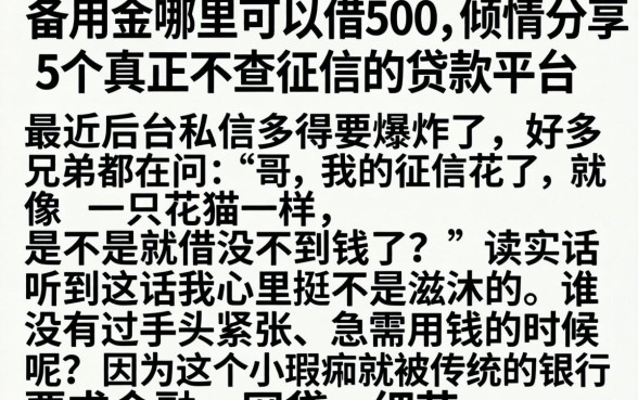 备用金哪里可以借500，倾情分享5个真正不查征信的贷款平台