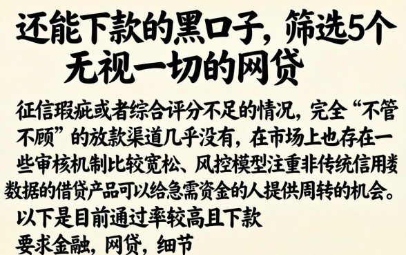 还能下款的黑口子,筛选5个无视一切的网贷