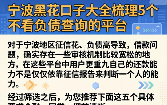 宁波黑花口子大全，梳理5个不看负债查询的平台