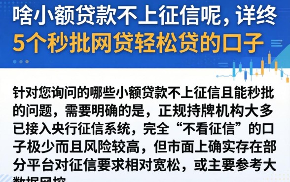 啥小额贷款不上征信呢，详尽说明5个秒批网贷轻松贷的口子