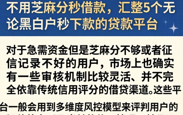 不用芝麻分秒借款，汇整5个无论黑白户秒下款的贷款平台